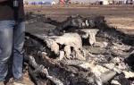 Авиакатастрофа в Египте: найдены еще тела погибших под фюзеляжем разбившегося A321 CNN: зафиксированная в момент ЧП с А321 вспышка произошла в небе