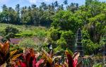 Tirta Ganga - قصر آبی در بالی: باغ گل، پل ها، فواره ها، استخرها، برکه های کوی و مجسمه های خدایان با شیاطین، یا اگر از سواحل خسته شده اید کجا بروید.