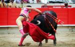 Bullfighting in Valencia: where and when to watch the show