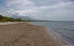 حقایق جالب در مورد دریاچه نیکاراگوئه کوسه ها در دریاچه نیکاراگوئه یافت می شوند